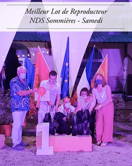 Du Clos Des Belles Oreilles - Expo Canine Sommières Samedi 21 Août 2021
